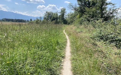 sowie die schönsten Routen an den oberbayrischen Seen warten auf Dich!