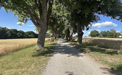 Abseits des Mainstreams führen Locals durch Ihre Heimat.