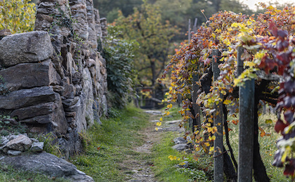 ...der Klassiker Eroica, Francigena und Tuscany Trail.